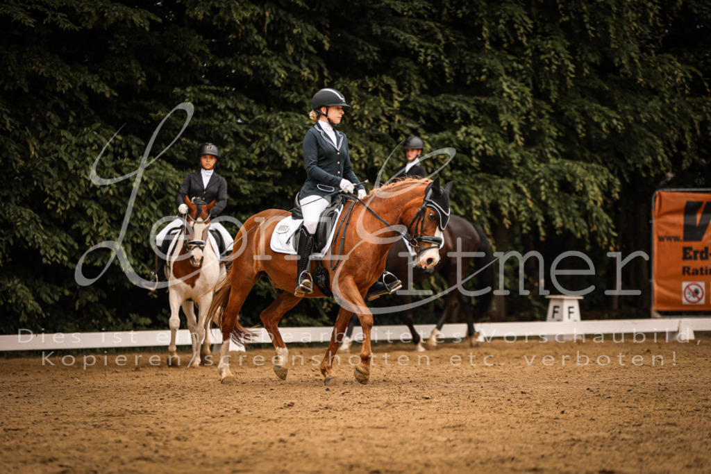 DoDrE00208 | Leoni Ertmer Photography - Realisiert mit Pictrs.com