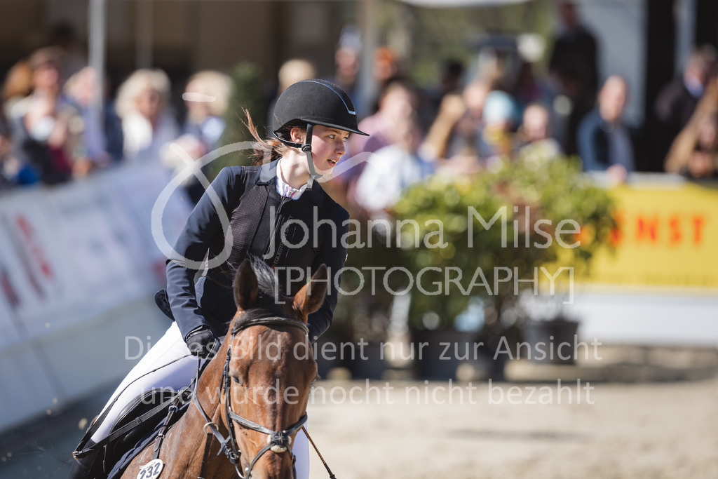 220423_Sudheim_Stil-L-147 | Oerlinghausen Währentrup 26.08.2021, Stilspringprüfung Kl.A*