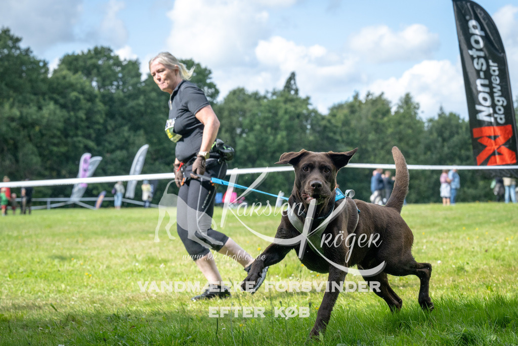 1534_ZZ93238 | kk-dogfotos