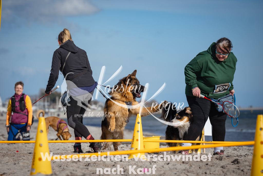1351_ZZ94085 | kk-dogfotos