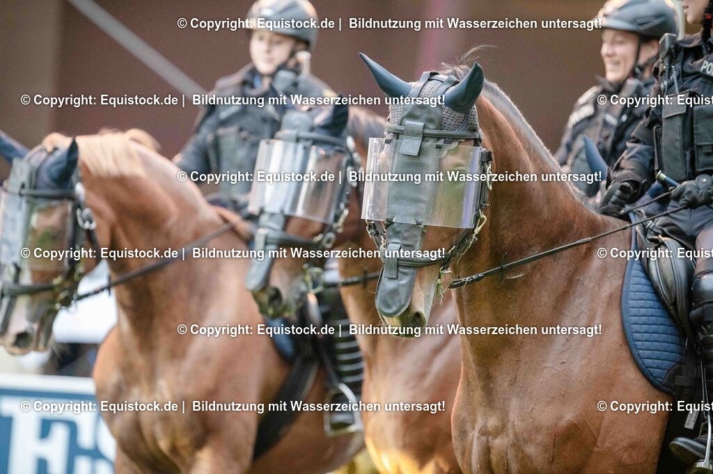 20250606_Lange-Pferdenacht_0837 | Foto: Thomas Hartig