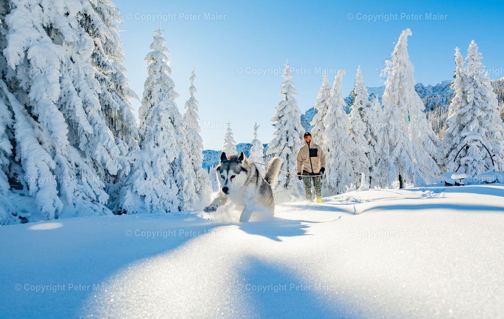 NLW_Husky_Koller_Winter_2024_Peter_Maier-73 | piet_flosse
