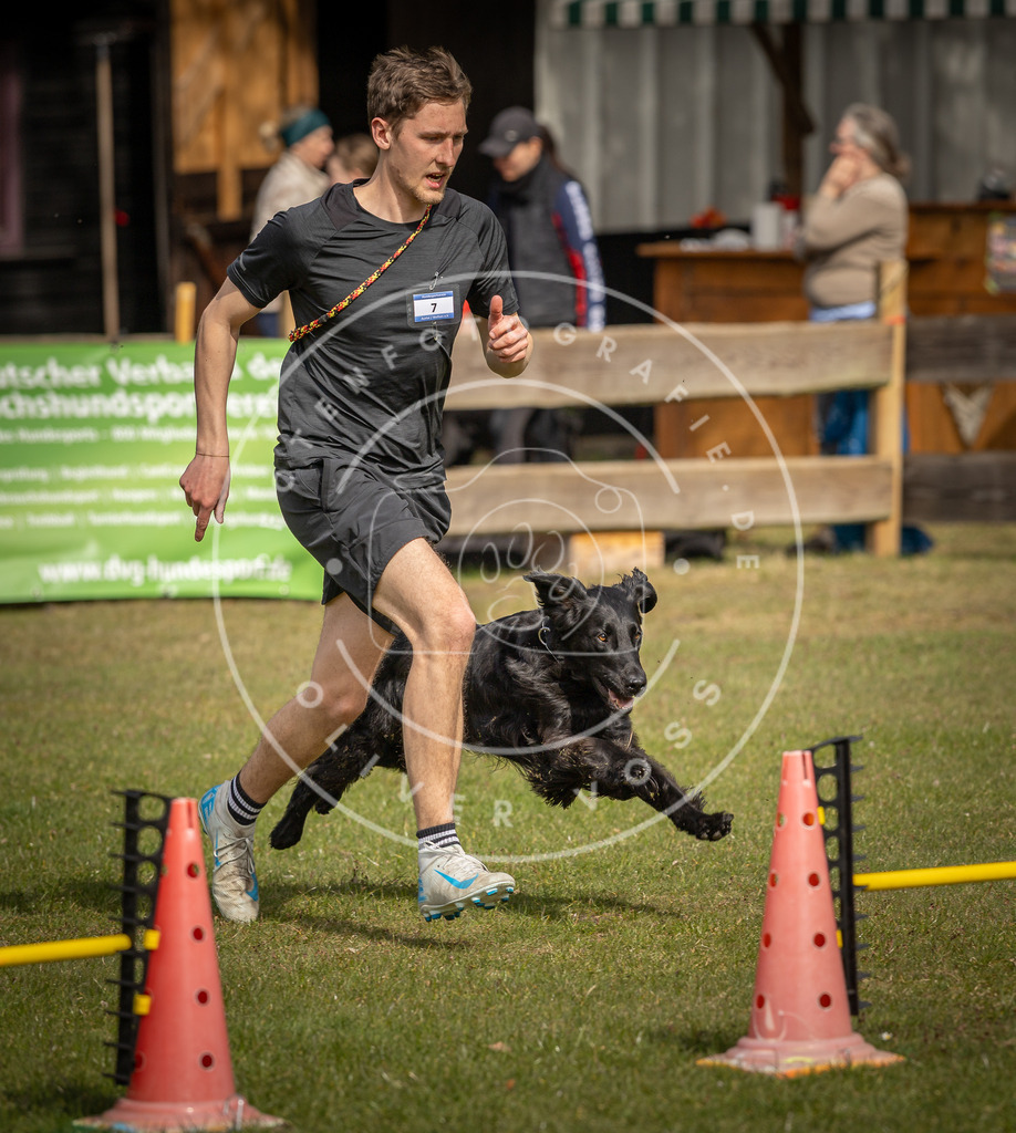 Pfotenfotografie_DV3A9313 | Hundefotografie, Tierfotograf, Pfotenfotografie, Fotoshooting Hund, Hunde Portrait, Hundesport, Hundeportraits, Heideshooting, Hunde, Sportfotograf, Hundefotograf, Turnierhundsport, THS,  - Realisiert mit Pictrs.com