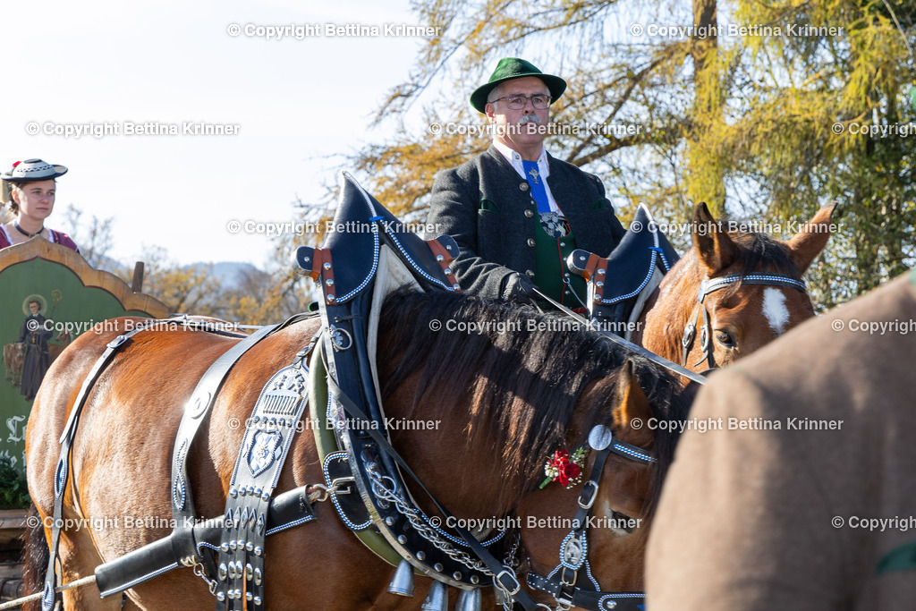 LBT24-1480 | foto-bettina-krinner - Realisiert mit Pictrs.com