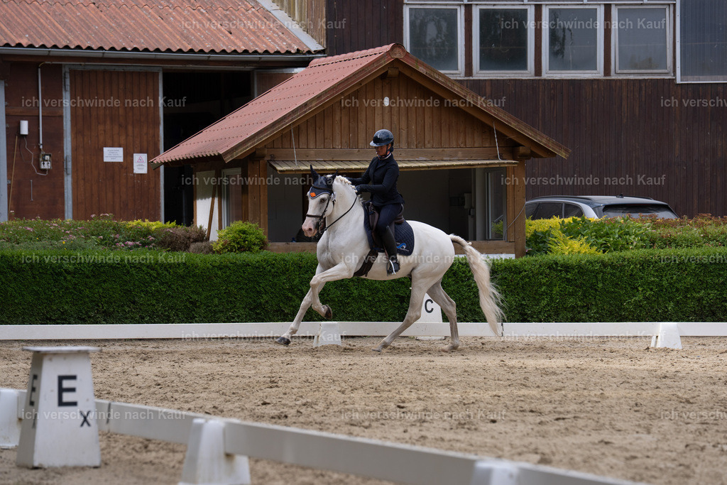 WS_DR_52_SinaFilmArt_IN01487 | working equitationturnier fotograf videograf stoibphotography marixx film working equitation deutschland reitsport turnierfotografie eventfotografie equestrian events