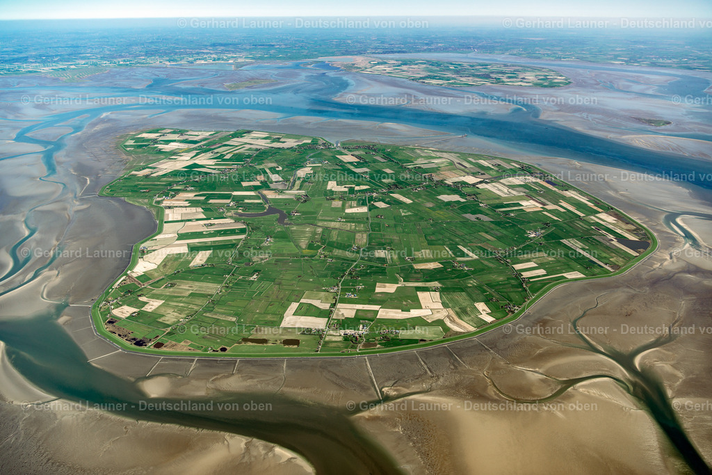 3801662 | Pellworm, Nationalpark Schleswig-Holsteinisches Wattenmeer