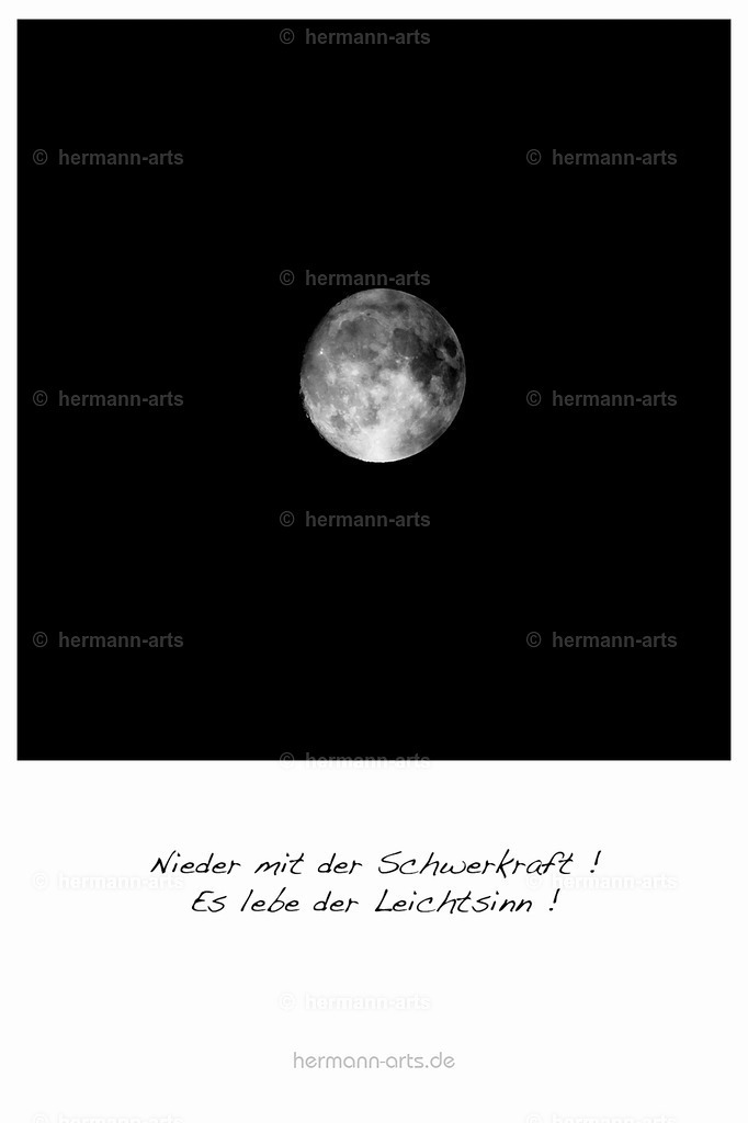 PK_Zitate_10x15_BW-146 | Photo Foto Kunst Art schwarzweiss Bilder Rheine Münster Berlin Blumen 