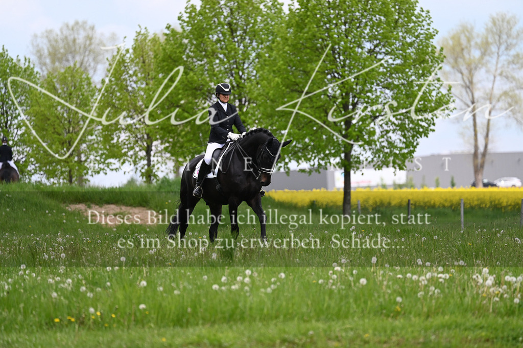 20230512_JK-Röhrsdorf-05-089 | Pferde- und Turnierfotografie in Westsachsen. Pferdeportraits, Auftragszeichnungen und intuitive Kunst.