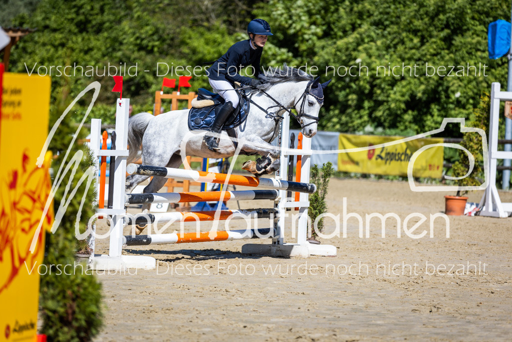 Donop24-A2Spr-169 | MomenTaufnahmen Pferdesportfotos