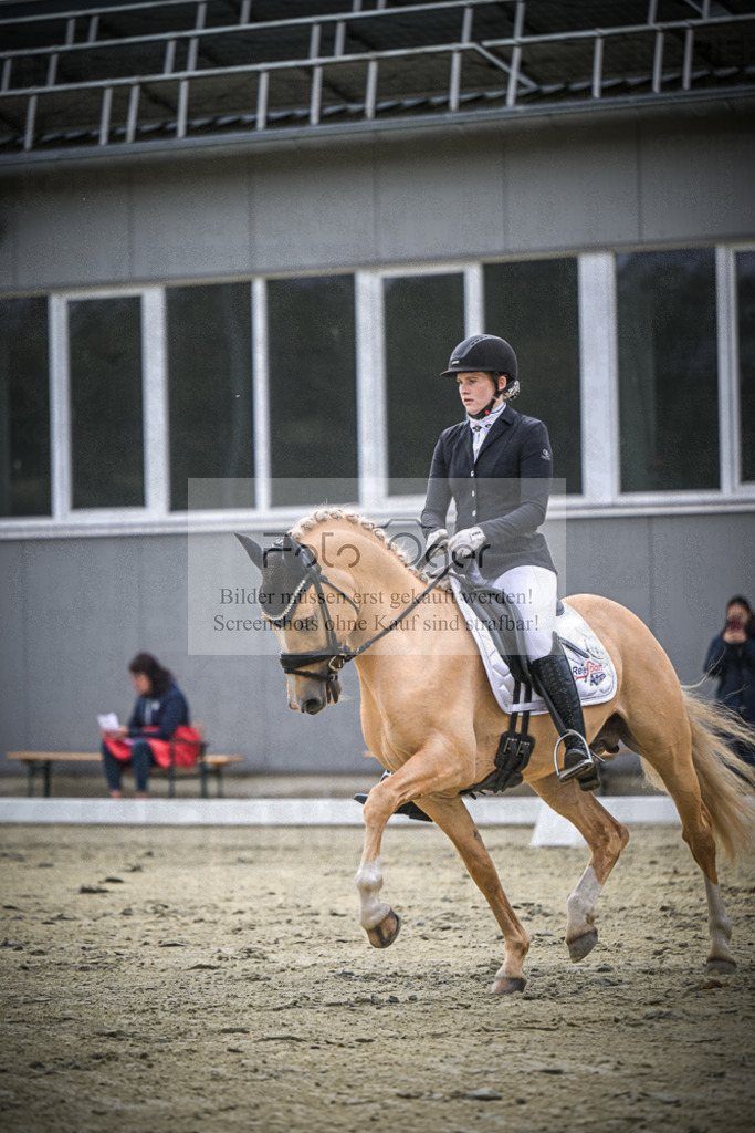 DOS_1643 | Entdecke hochwertige Reitturnierfotos von Foto Oger. Professionell, emotional und authentisch – jetzt Lieblingsmomente im Shop bestellen.Deutschlandweite Turnierfotografie. - Realisiert mit Pictrs.com