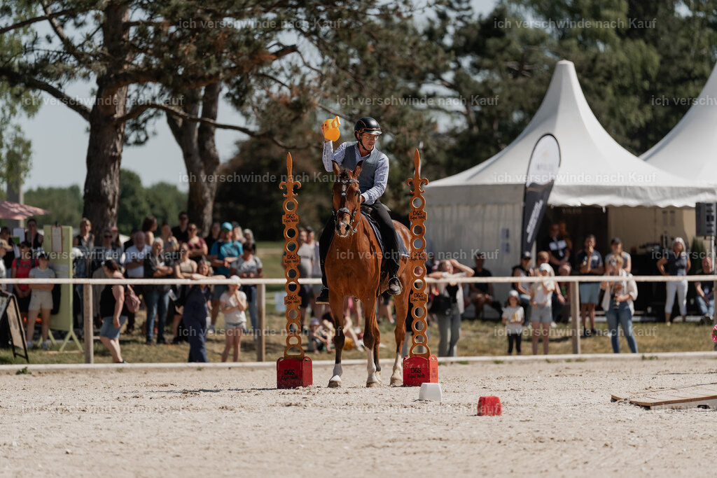 WE_SP_Stoib_339_PI2025_1514 | Pferd International München 2025