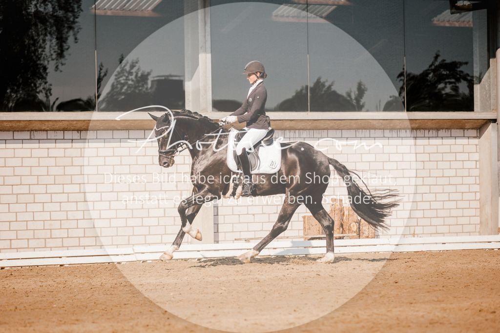 3I6A9056 | Stimmungsvolle Portraits und Reitsportfotografie im Ruhrgebiet und im Münsterland.

Pferdefotografie, Hundefotografie, Tierfotografie, Reportagen, Portraits von Tier und Mensch, Turnierfotografie in Bochum, Recklinghausen, Marl, Haltern am See, Dülmen.. - Realisiert mit Pictrs.com