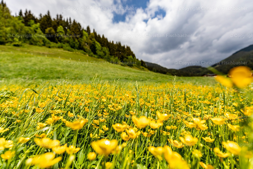 Fotos_Copyright_Chri_Fischbacher_Druck-376 | Bildershop Chri Fischbacher - Realisiert mit Pictrs.com