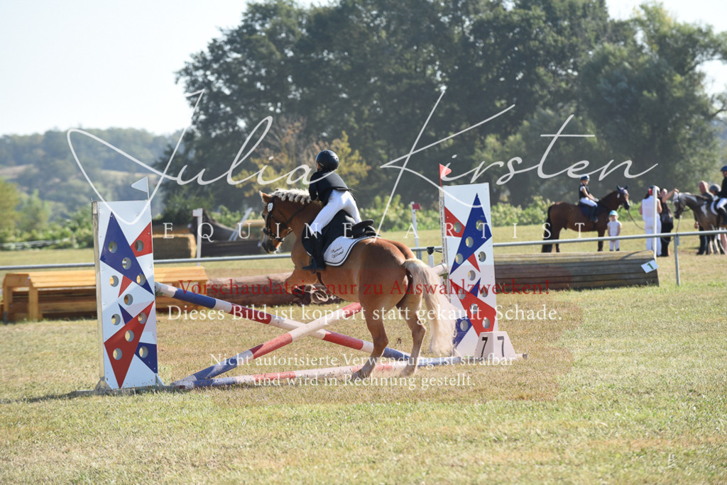DSC_5806 | Pferde- und Turnierfotografie in Westsachsen. Pferdeportraits, Auftragszeichnungen und intuitive Kunst.