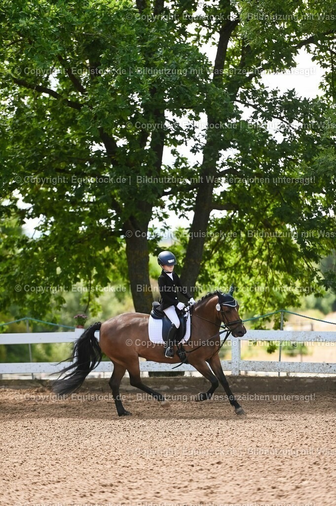 20230716_10-3_Reiter-WB Schritt - Trab - Galopp_0059 | equistock
