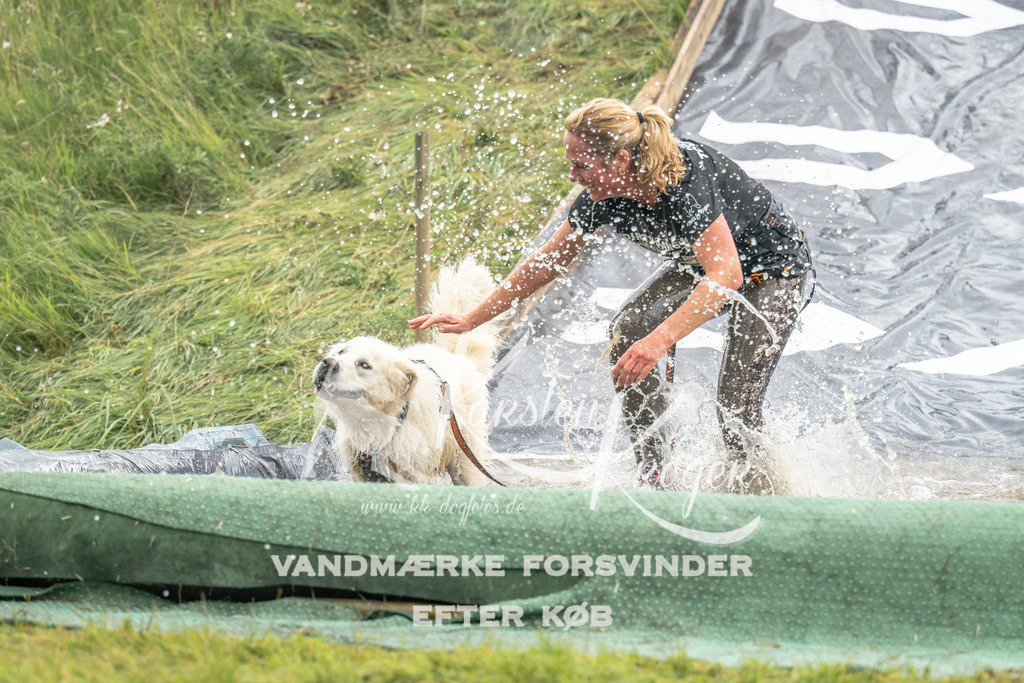 1407_ZZ94373 | kk-dogfotos