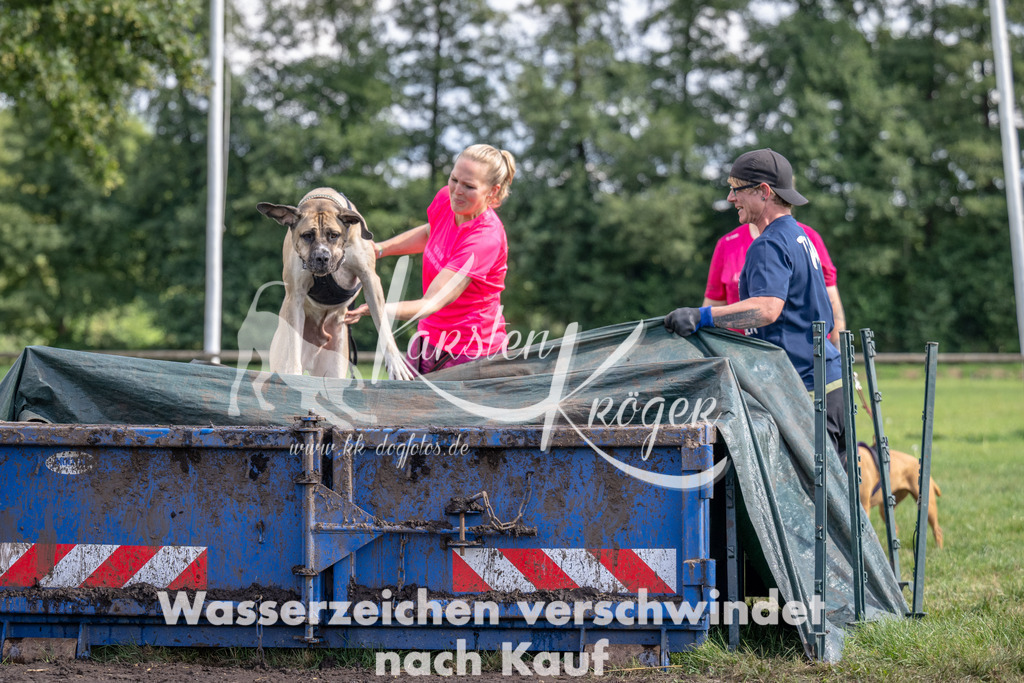 1249_ZZ90619 | kk-dogfotos
