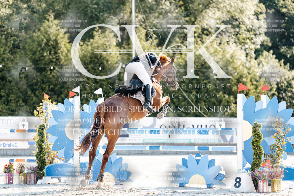 CK901780 | Turnierfotografie Pferdefotografie Trier Rheinland-Pfalz Pferdesport Reitsport Tierfotografie Sportfotografie Pferdevideo Pferdevideografie Equestrianvideography equestrianphotography  - Realisiert mit Pictrs.com