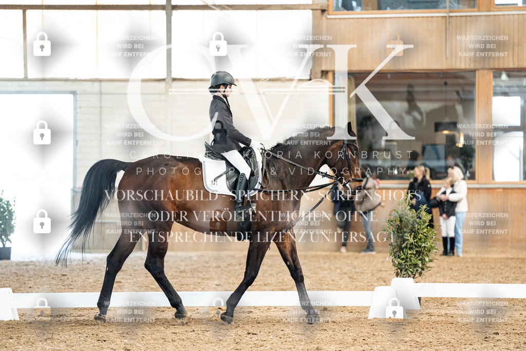 CK900412 | Turnierfotografie Pferdefotografie Trier Rheinland-Pfalz Pferdesport Reitsport Tierfotografie Sportfotografie Pferdevideo Pferdevideografie Equestrianvideography equestrianphotography  - Realized with Pictrs.com