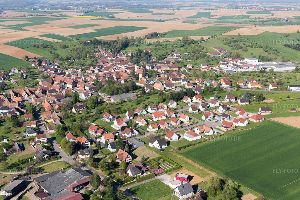 Luftbild: Ortsansicht in Mietesheim im Bundesland Bas-Rhin in Frankreich. Foto: IMG_099430.jpg vom 30.04.2017 durch Werner Riehm/FLY-FOTO.de