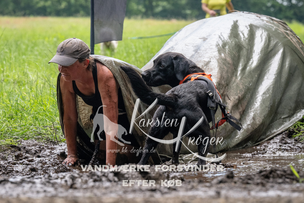 1120_ZZ92525 | kk-dogfotos