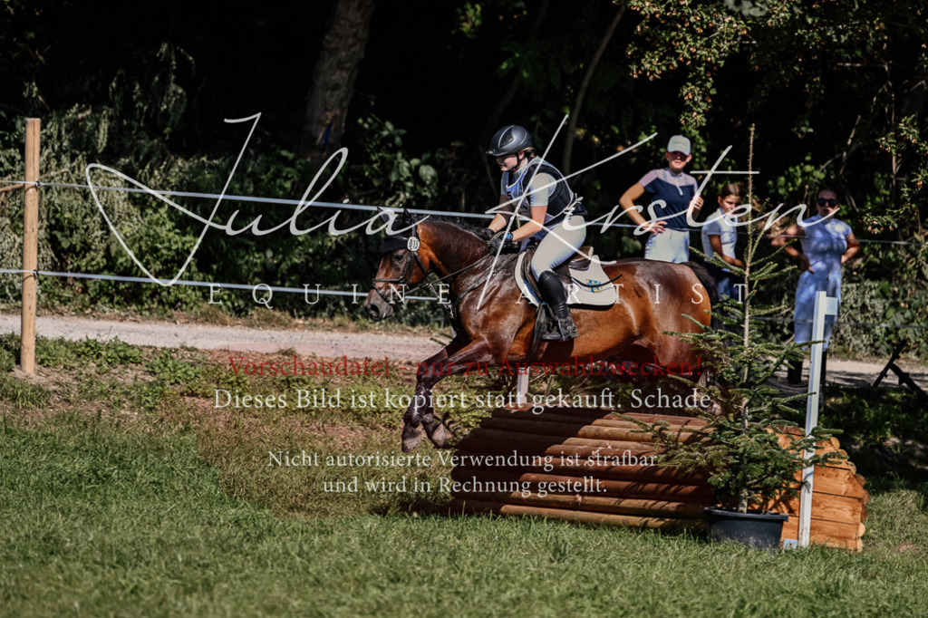 DSC_1497 | Pferde- und Turnierfotografie in Westsachsen. Pferdeportraits, Auftragszeichnungen und intuitive Kunst.