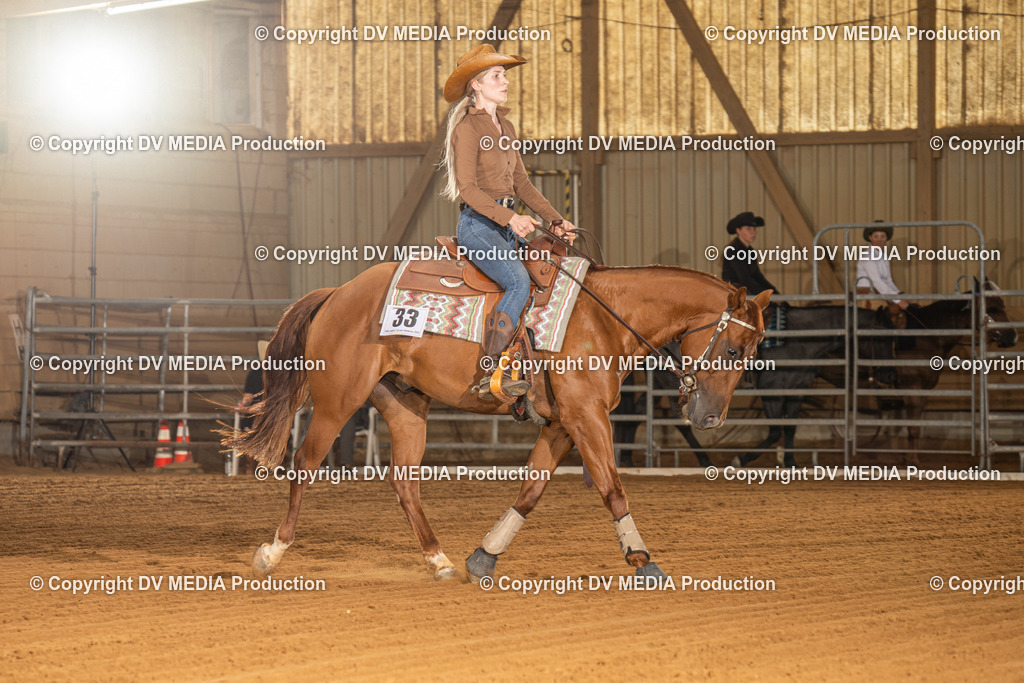 NID01747 | dv-media-shop - Realisiert mit Pictrs.com