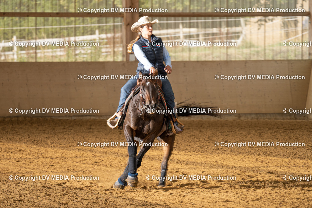 LAU01423 | dv-media-shop - Realisiert mit Pictrs.com