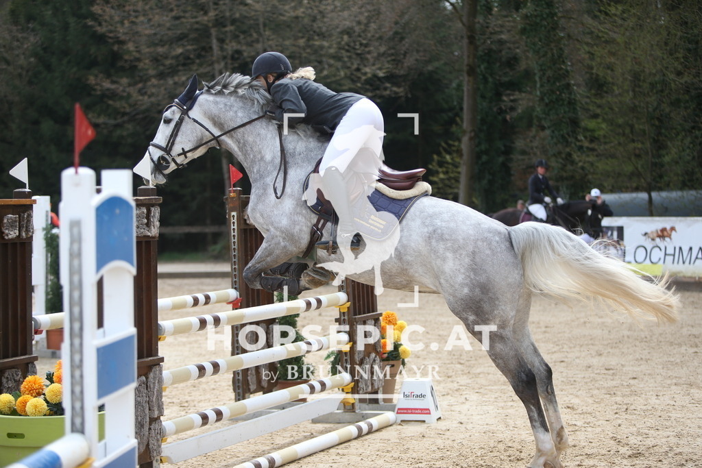 PP017195 | Willkommen bei Brunnmayr - Design & Fotografie – Ihrem Spezialisten für Reitturniere und Pferdeveranstaltungen in Oberösterreich, Salzburg und Bayern! Seit über 17 Jahren sind wir leidenschaftlich dabei.