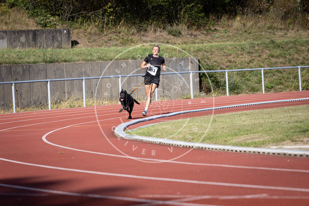 Pfotenfotografie_DV3A9510 | Hundefotografie, Tierfotograf, Pfotenfotografie, Fotoshooting Hund, Hunde Portrait, Hundesport, Hundeportraits, Heideshooting, Hunde, Sportfotograf, Hundefotograf, Turnierhundsport, THS,  - Realisiert mit Pictrs.com