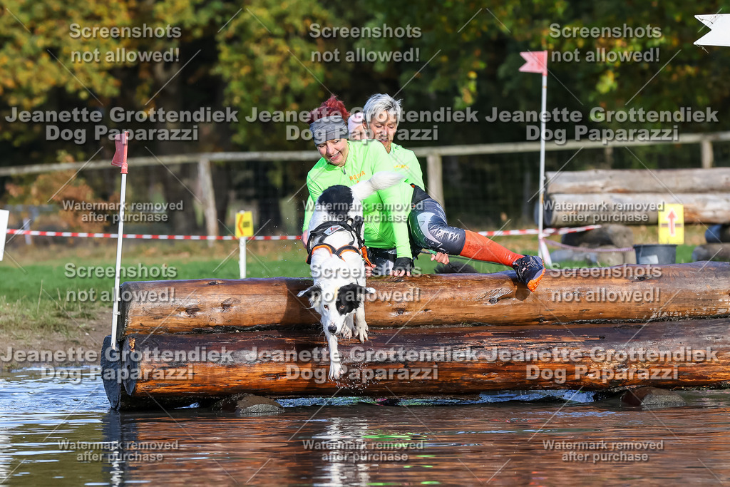 Dog Paparazzi - Strongdog 10-25-8494 | Dog Paparazzi Jeanette Grottendiek Fotografie & Videografie - Realisiert mit Pictrs.com