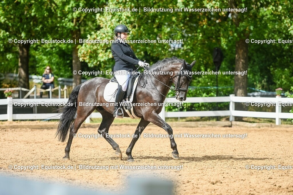 20230716_01_Dressurprüfung Kl.M_0594 | equistock