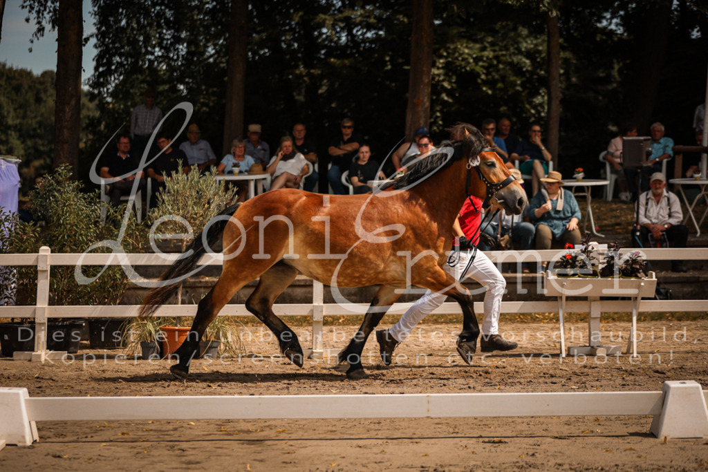 2.Sa00015 | Leoni Ertmer Photography - Realisiert mit Pictrs.com