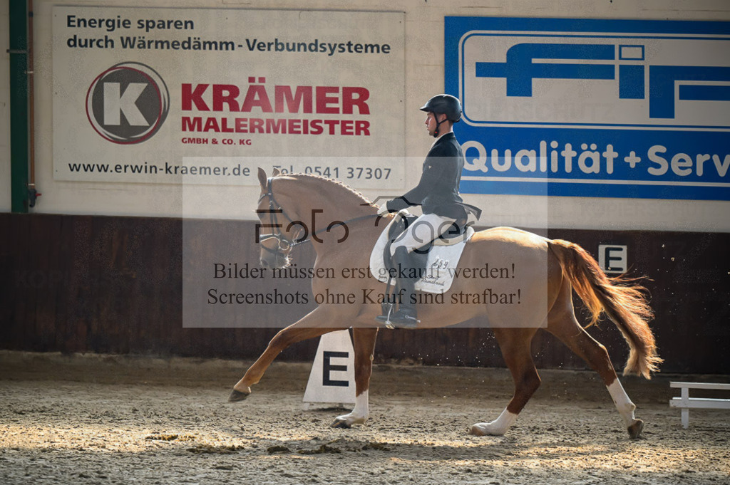 Reitturnier Voxtrup | Entdecke hochwertige Reitturnierfotos von Foto Oger. Professionell, emotional und authentisch – jetzt Lieblingsmomente im Shop bestellen.Deutschlandweite Turnierfotografie. - Realisiert mit Pictrs.com