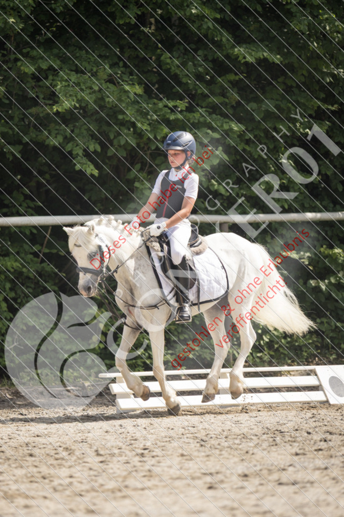IMG_5132 | Sport-, Event- und Tierfotos in Profiqualität. Einfach auswählen, bestellen und herunterladen. Dein Moment – perfekt festgehalten.