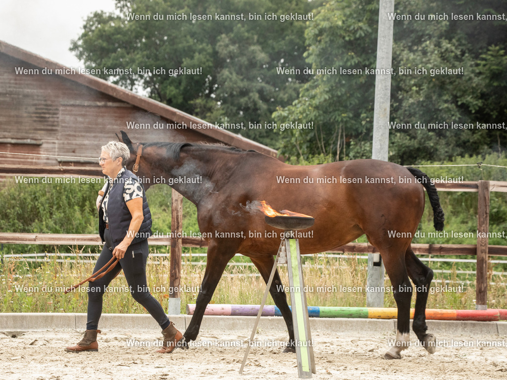 598A6483 | photographylinaismer - Realisiert mit Pictrs.com