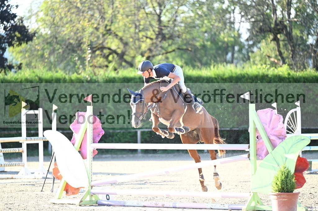 DSC_8938 | equestrian-live-com
