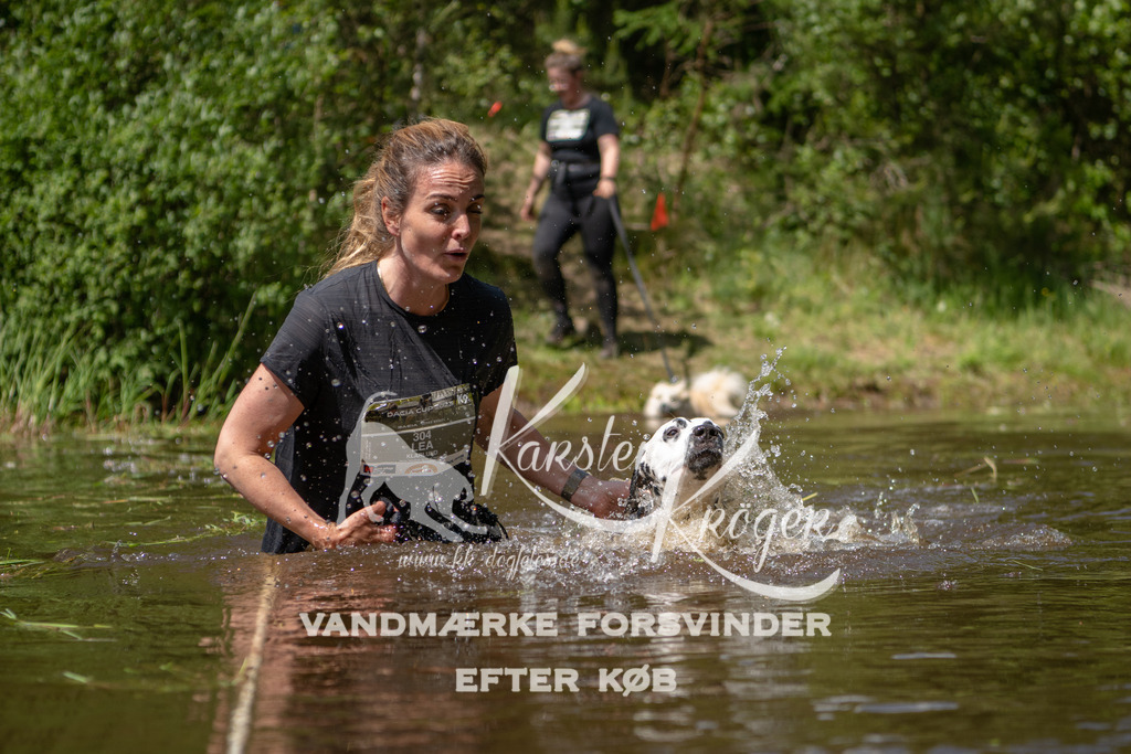 1321DKK994442 | kk-dogfotos