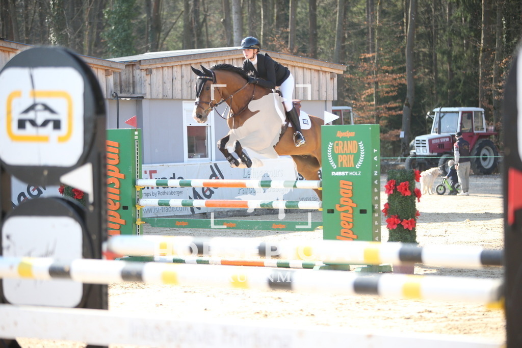 AS8V5290 | Willkommen bei Brunnmayr - Design & Fotografie – Ihrem Spezialisten für Reitturniere und Pferdeveranstaltungen in Oberösterreich, Salzburg und Bayern! Seit über 17 Jahren sind wir leidenschaftlich dabei.