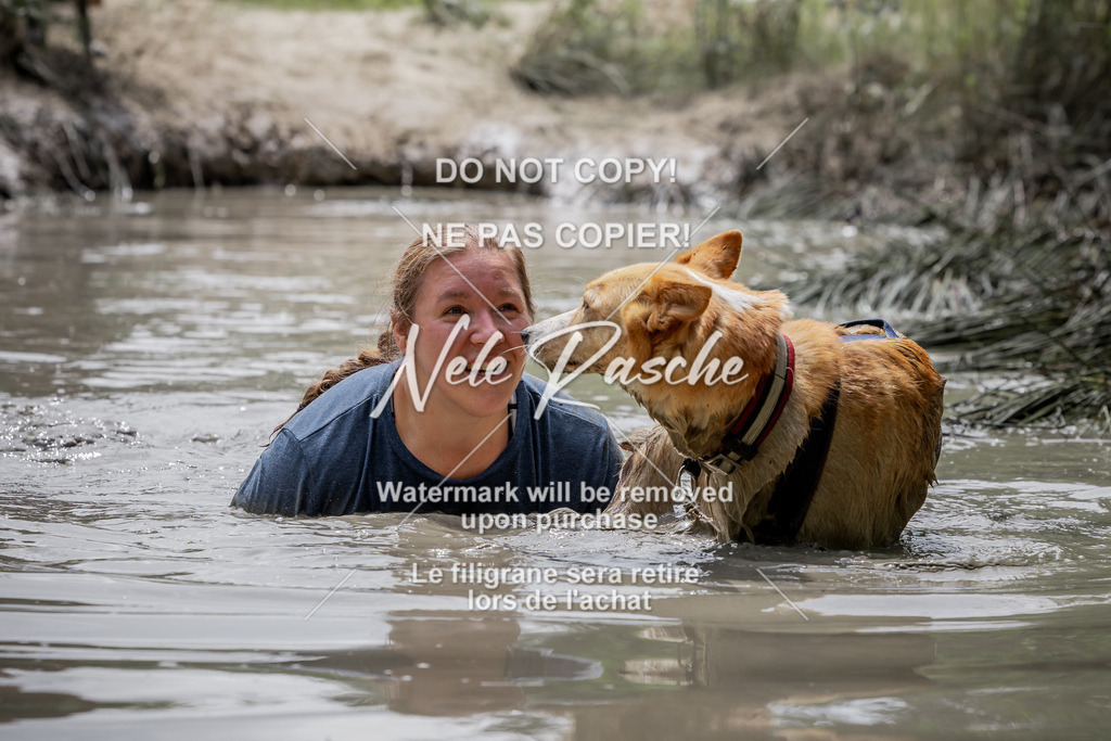 nelerasche_so1300-1330_20 | nelerasche