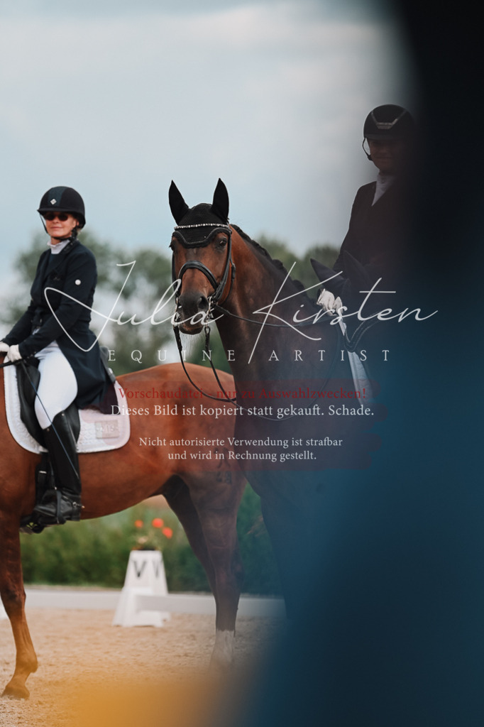 DSC_4108 | Pferde- und Turnierfotografie in Westsachsen. Pferdeportraits, Auftragszeichnungen und intuitive Kunst.