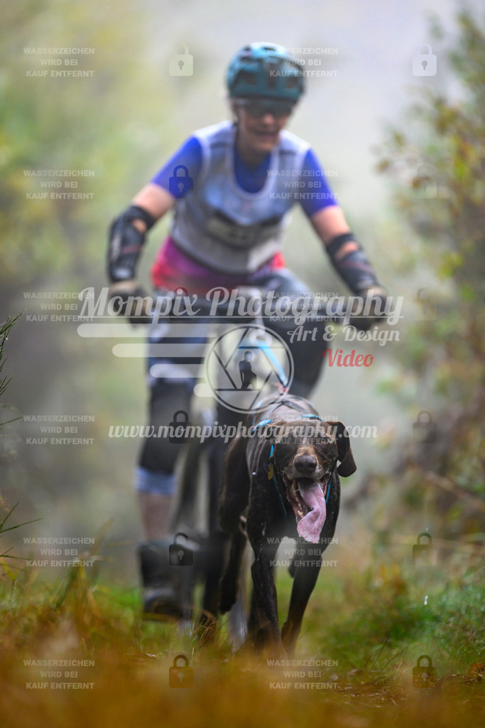 MompixPhotography_20TSB_E4_Bike-53 | PayLife