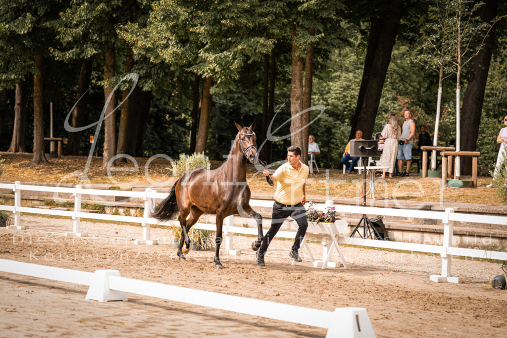 7.Fr00029 | Leoni Ertmer Photography - Realisiert mit Pictrs.com