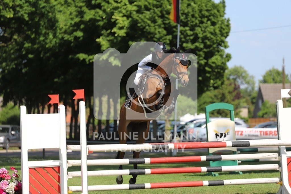 IMG_6545 | Pauline Ullmann Photography - Realisiert mit Pictrs.com