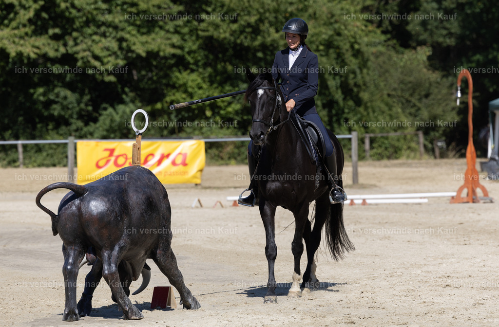 WE_Trail_144_KerstinBernhardt-4 | working equitationturnier fotograf videograf stoibphotography marixx film working equitation deutschland reitsport turnierfotografie eventfotografie equestrian events