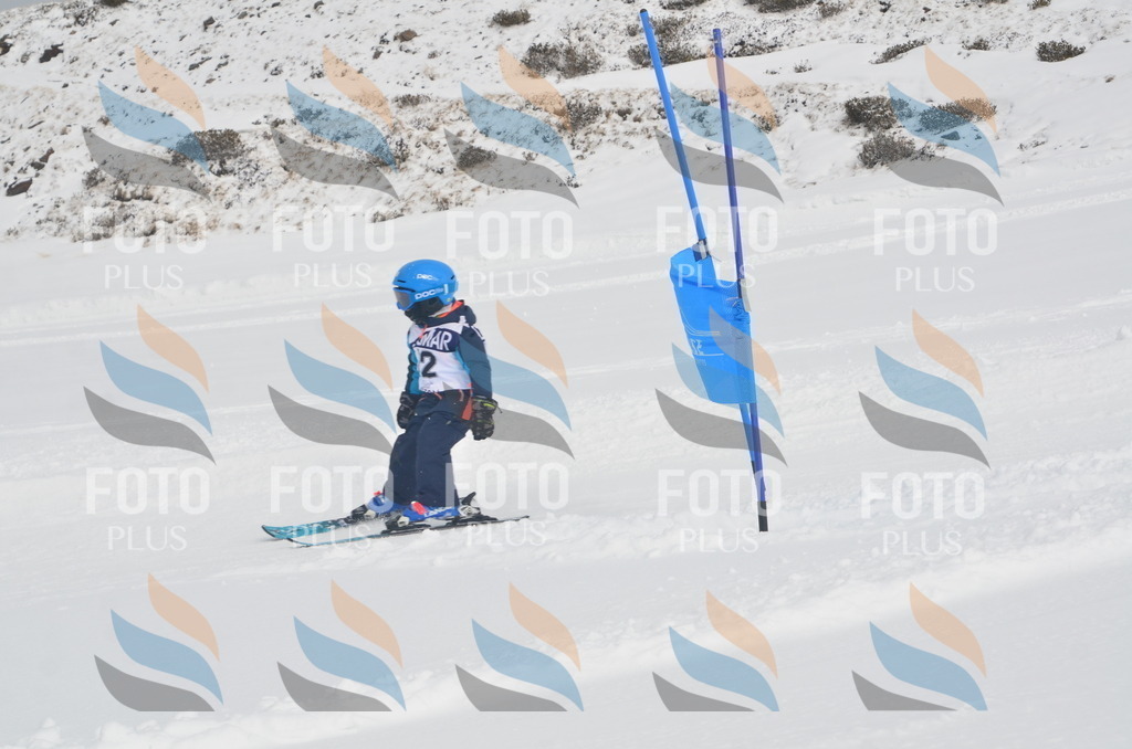 A5089 | holidayphoto