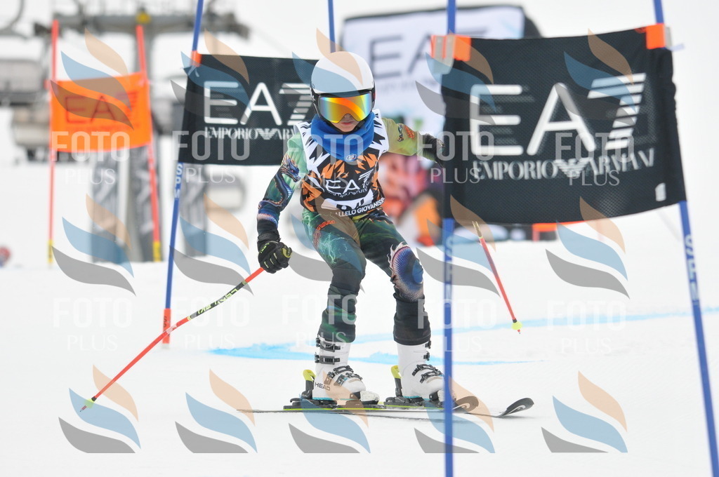 DSC_7932 | holidayphoto