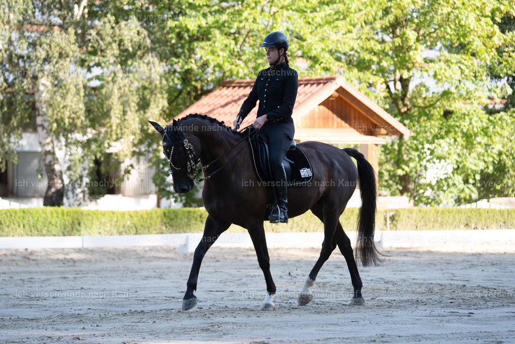 WL_DR_25_sinafilmart_IN05837 | working equitationturnier fotograf videograf stoibphotography marixx film working equitation deutschland reitsport turnierfotografie eventfotografie equestrian events