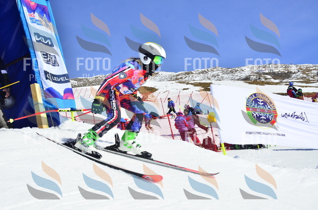 _ELE0091 | holidayphoto