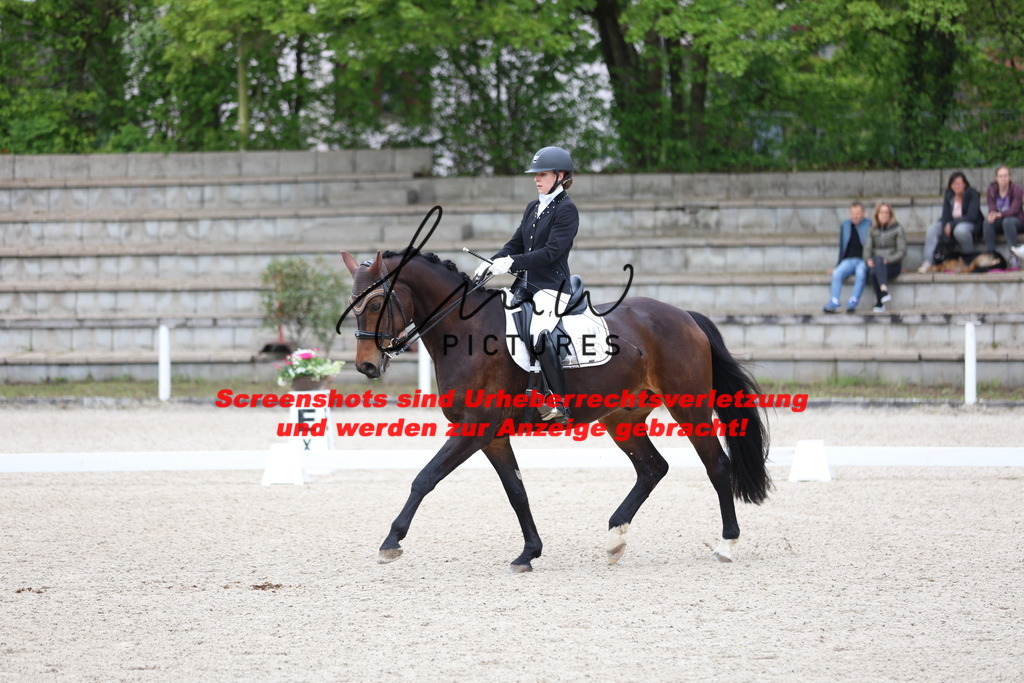 A40A4158 | lmwpictures - Realisiert mit Pictrs.com